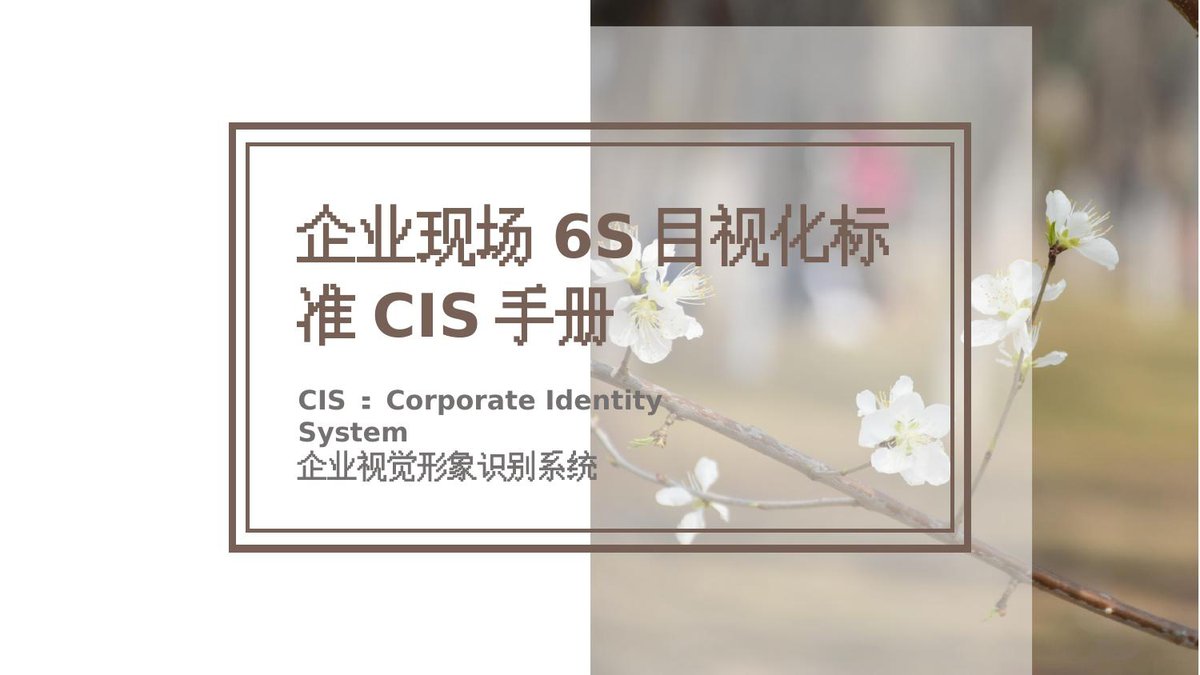 240520-企业现场6S目视化标准CIS手册